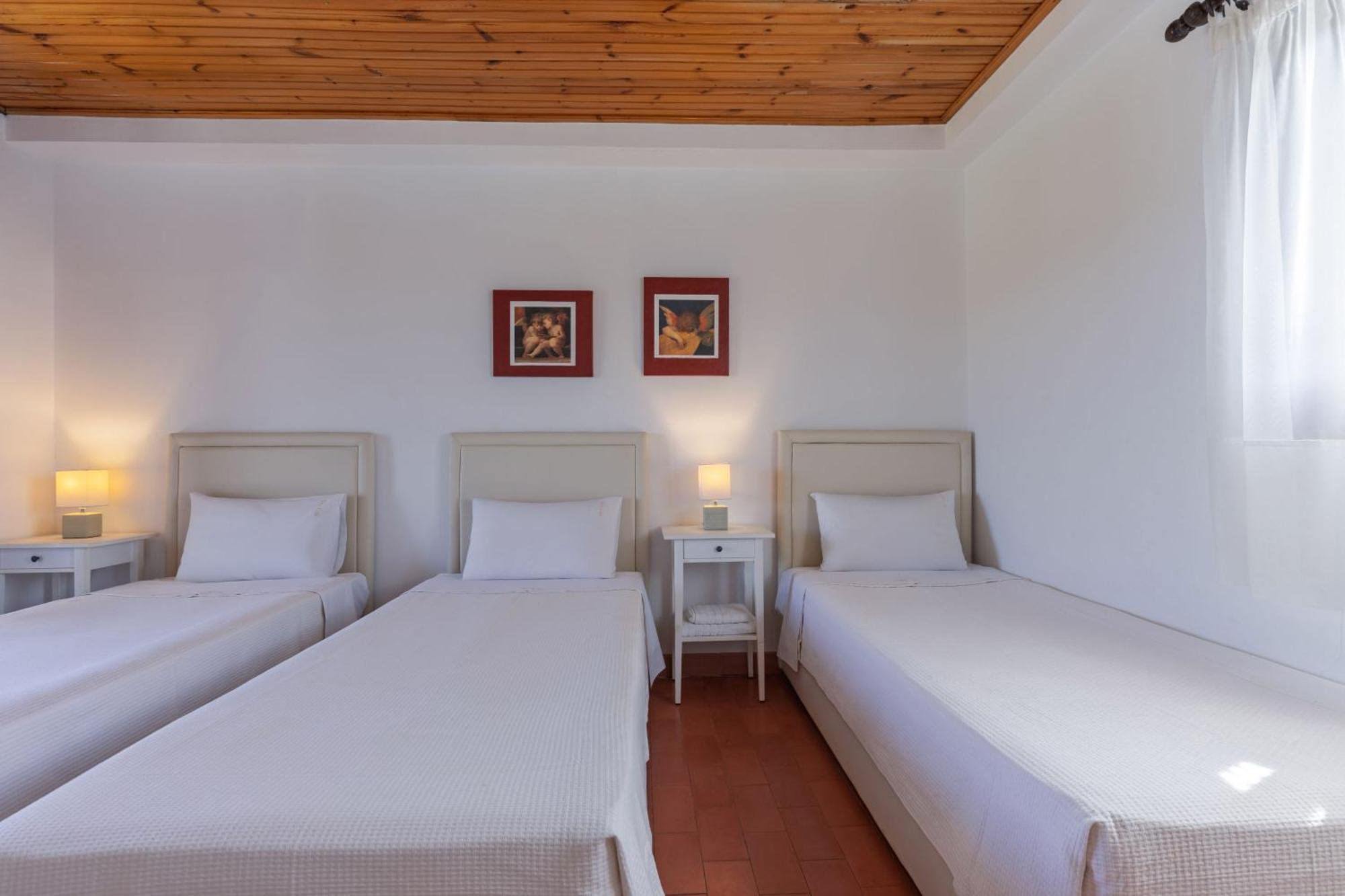 Villa Lola - 3 Bedrooms & Private Pool Lithakia  エクステリア 写真